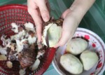 Tuyệt chiêu gọt khoai không sợ ngứa tay