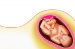 Thần dược nhau thai tươi... chỉ là rác thải