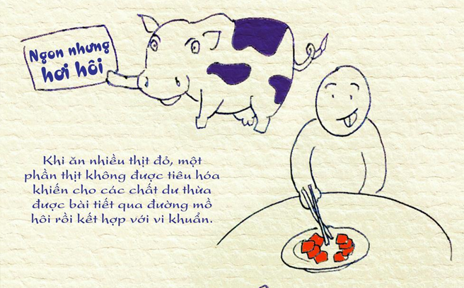 Khám phá ngay danh sách những thực phẩm khiến bạn "rau mùi"