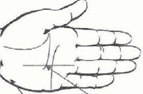 Xòe tay ra mà có những đường chỉ tay như vậy là bạn cực giàu