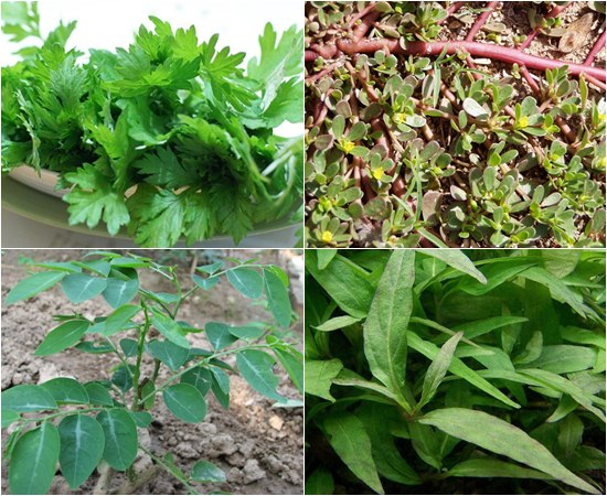 10 loại rau bà bầu cần nghiêm túc nói không