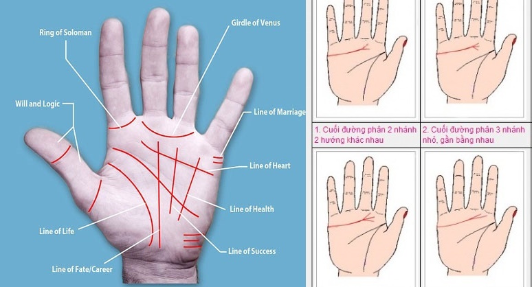 Tình duyên lận đận, khổ trăm bề khi bàn tay bạn như thế này!