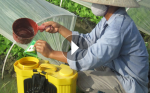 Video khiến bạn thấy lạnh xương sống khi xem...