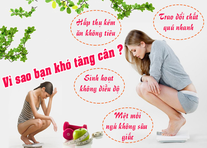 Phương pháp tự nhiên giúp tăng cân nhanh chóng cho chị em “cò hương”