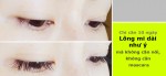 Chỉ10 ngày: Lông mi dài như ý mà không cần nối, không mascara