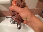 Độc chiêu giặt quần tất giấy mãi chẳng rách
