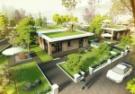 Trồng cây trước nhà đúng phong thủy
