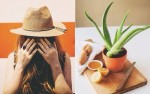 5 công thức DIY tuyệt hay giúp khắc phục tóc khô, cháy nắng