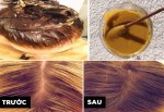 Hỗn Hợp "Tuyệt Diệu" Giúp Tóc Mọc Nhanh Ngay Sau Khi Sử Dụng