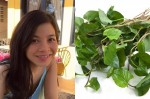 Chia sẻ của cô gái trị mụn thành công chỉ nhờ rau diếp cá