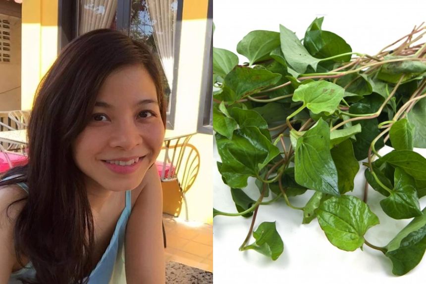 Chia sẻ của cô gái trị mụn thành công chỉ nhờ rau diếp cá