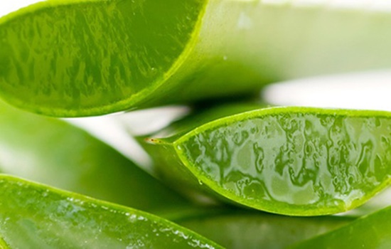 Mẹ bầu không cần lo lắng rạn da vì đã có công thức này