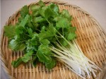 10 cách chữa hôi miệng dứt điểm bạn nên thử ngay