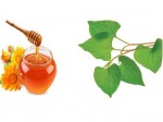 Rau diếp cá trị mụn trứng cá hiệu quả bất ngờ