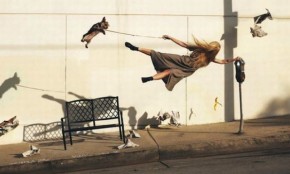 4 con giáp xui xẻo, dễ gặp họa nhất trong năm 2016