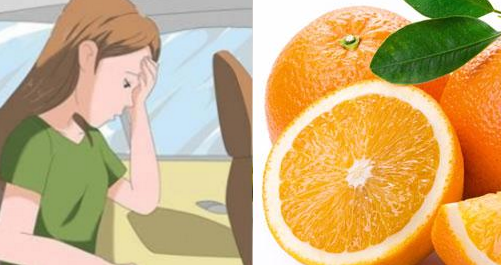 Không muốn say xe nữa, hãy ăn 5 loại thực phẩm này