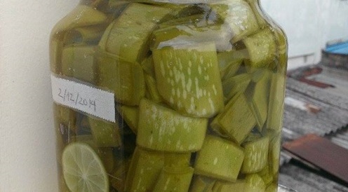Hướng dẫn công thức nha đam ngâm giấm cho da trắng mịn như em bé
