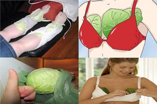 Đắp lá bắp cải trước khi ngủ và xem điều kỳ diệu gì xảy ra sáng hôm sau