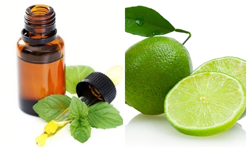 2 công thức detox giúp thải 8kg chất độc, giảm cân, đẹp da