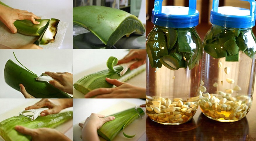 Làm đẹp bằng nha đam sai cách sẽ khiến bạn xấu như ma