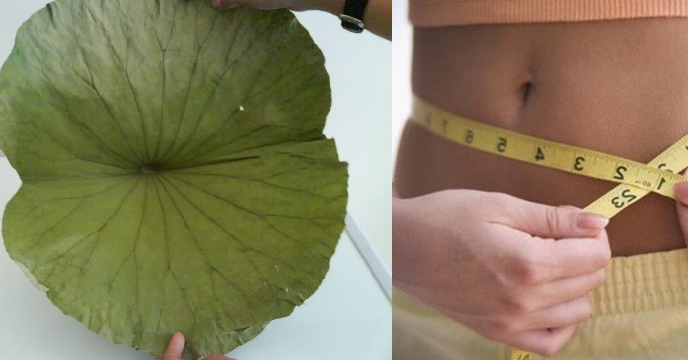 Em đã giảm được 100mm mỡ thừa trong cơ thể chỉ 2 tháng! Thích làm chi em ạ