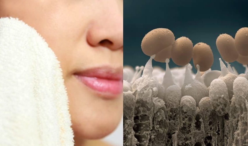 Hãy ngừng ngay việc rửa mặt bằng khăn sau khi đọc bài viết này