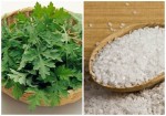 1 nắm rau ngải cứu sẽ giúp xẹp mụn, da trắng, eo thon