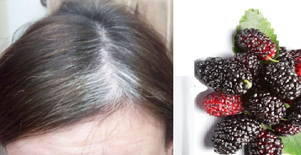 Nhuộm đen nhanh tóc bạc sớm bằng dưỡng chất thiên nhiên