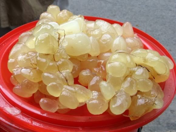 Cách cạo sạch lông chân giúp da láng mịn, không bị đau xước