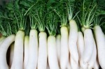 5 công thức thổi nhanh nám da hiệu nghiệm 2-3 lần/tuần từ củ cải trắng