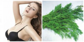 Những loại rau giúp ngực nở nang, săn chắc