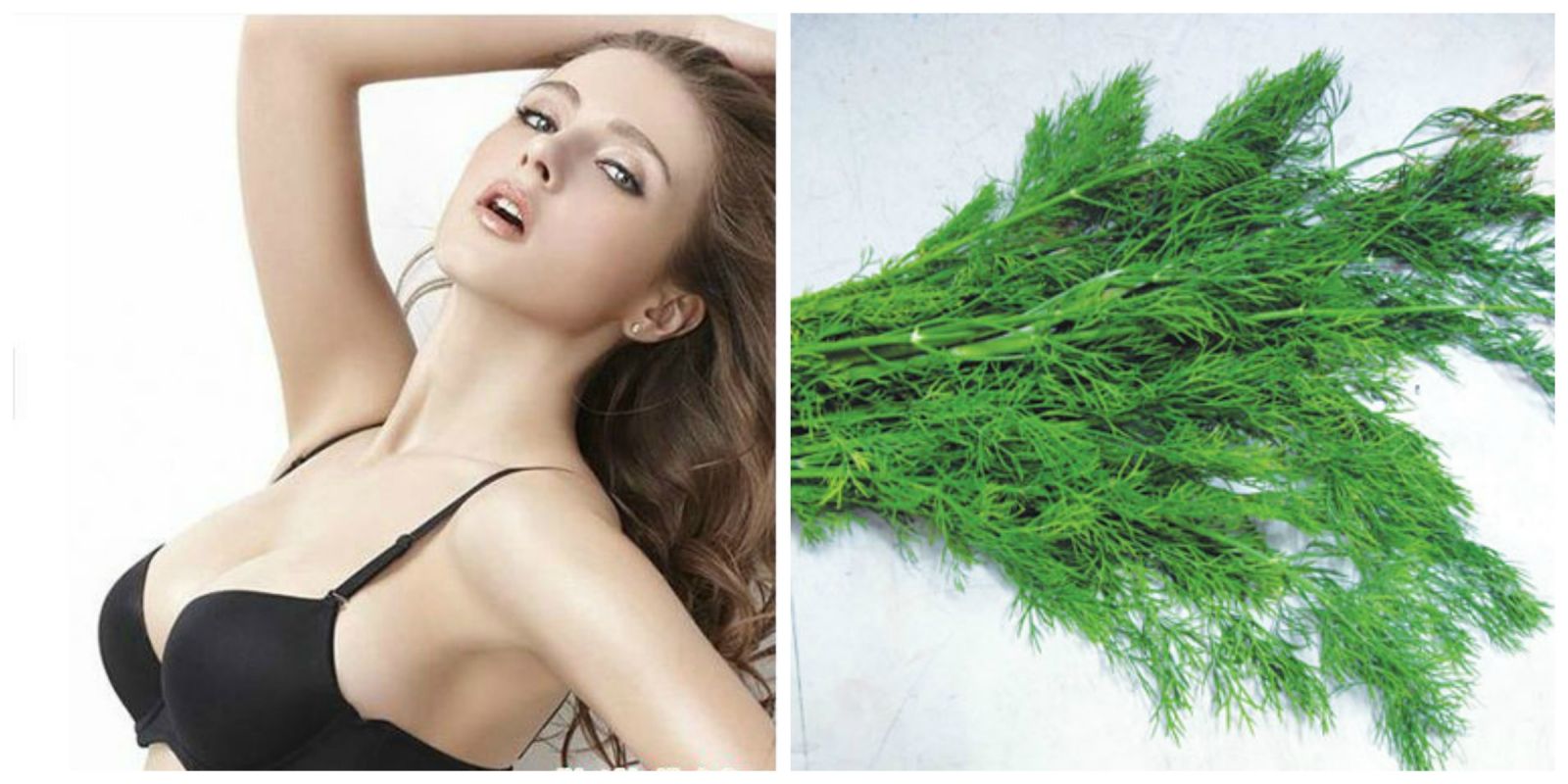 Những loại rau giúp ngực nở nang, săn chắc