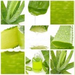 8 cách chăm sóc da không lo cháy nắng mùa đi biển