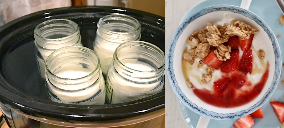 Tự ủ sữa chua bằng nồi cơm điện ngon hơn dùng máy