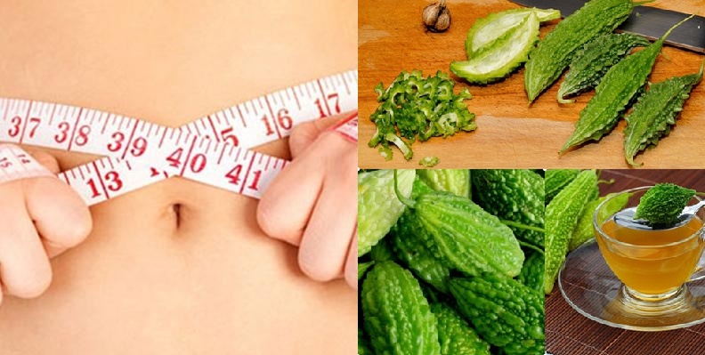 Bất ngờ liệu pháp giảm cân cấp tốc hiệu quả bằng mướp đắng