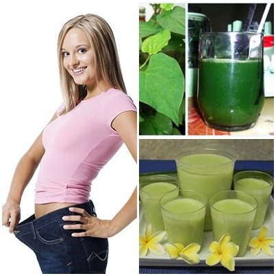 Giảm 5kg/tháng nhờ nước ép RAU DIẾP CÁ+ĐẬU XANH