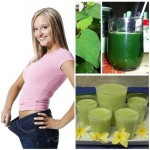 Giảm 5kg/tháng nhờ nước ép RAU DIẾP CÁ+ĐẬU XANH