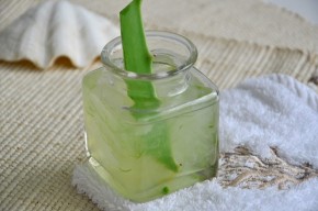Hướng dẫn tự làm gel nha đam dưỡng da, trị mụn siêu dễ tại nhà