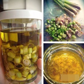 Trị rụng tóc và kích thích tóc mọc dày dài nhờ sả và dầu oliu