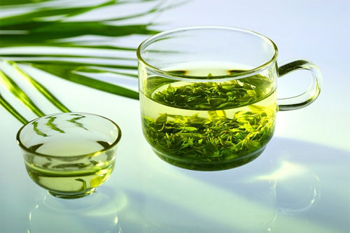 Lá chè xanh - Bí quyết giảm cân hiệu quả cho người thừa cân