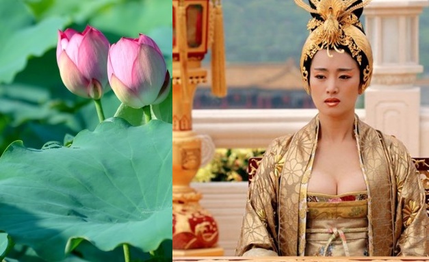 Tiết lộ phương pháp tắm trắng siêu tốc bí truyền từ Tư Hy Thái Hậu