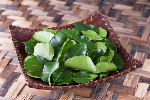 Tạm biệt da dầu siêu tốc với lá chanh