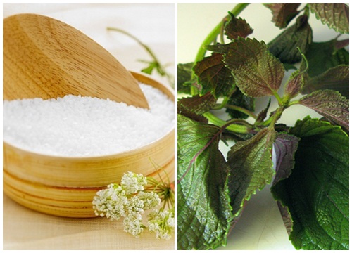1 nắm lá tía tô – “cao thủ” diệt tận gốc mụn trứng cá và mụn thịt