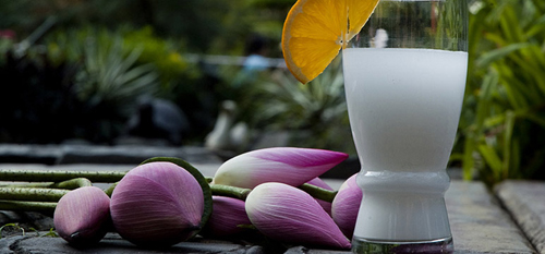 Da sáng mịn, ngực căng tràn nhờ bột sắn dây