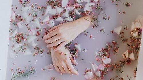 12 thứ nên tự thêm vào nước tắm để có làn da khỏe đẹp