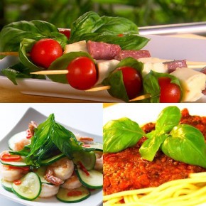 Vì sao bạn nên ăn rau húng quế mỗi ngày?