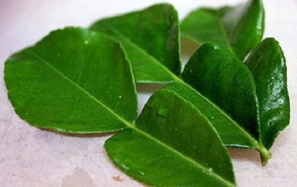 Tuyệt chiêu trị da dầu, mụn siêu tốc với lá chanh
