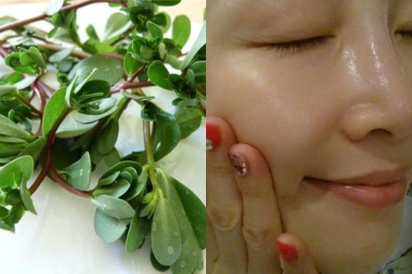 Công thức giúp da sáng hồng, hết sạch mụn chỉ với rau sam