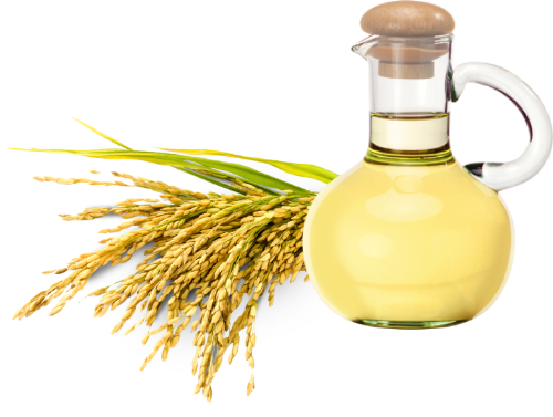 Dầu cám gạo – bí quyết dưỡng da cho phụ nữ