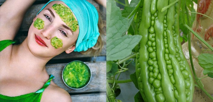 Trị dứt mụn bằng mướp đắng, đơn giản hiệu quả lại rẻ tiền